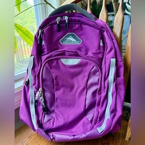 HIGH SIERRA Purple Backpack 1118166